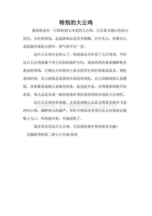 公鸡镜子