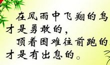 这句名言鼓励了我