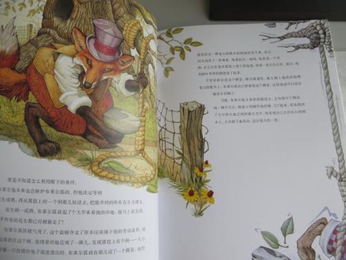 文学滋养我的心