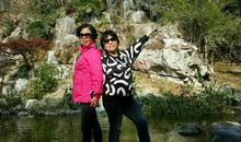 难忘的爬树事件