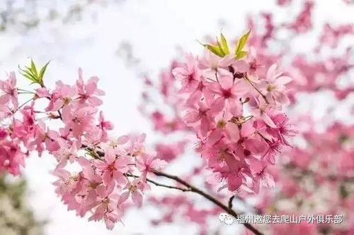 在八十英里的路上感恩节