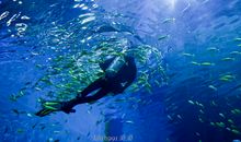 游世界海洋公园