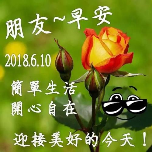 有雾的生活是完美的