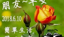 有雾的人生才完美