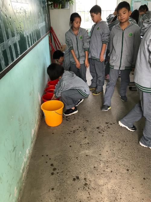 友谊在课堂上