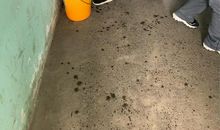 友爱在班集体中