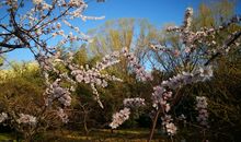 行走在春天的路上