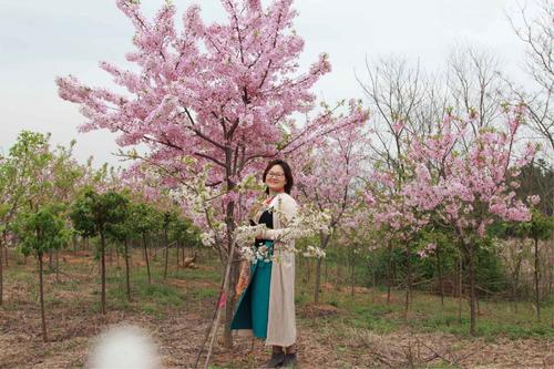 开花