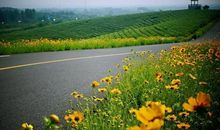 生活中不缺风景