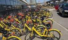 一张密织的共享之网