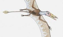 张开艺术的翅膀