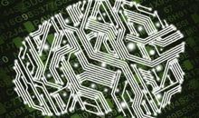 人类不是计算机