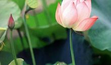 阅读让我邂逅美丽