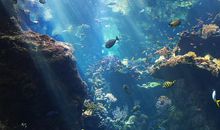 沐浴在阳光的世界里