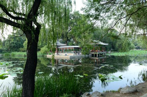 一个校园美