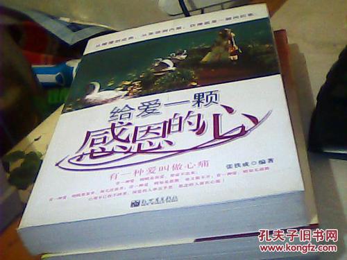 感激心爱的天空