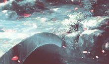 我眼中的雨最美