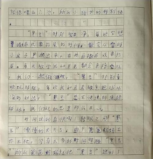 我喜欢国际象棋_600字
