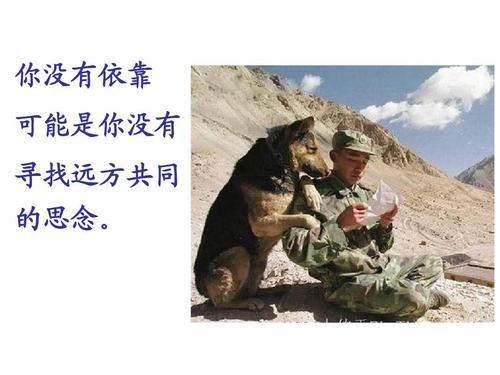 我不再责怪她。