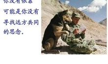 从此不再埋怨她