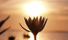 生命的长度更重要