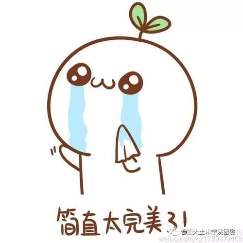 大学周围的一切