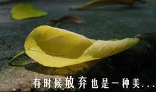 一种放弃的背后