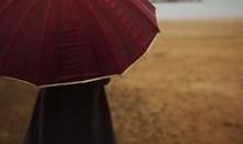 那把雨伞改变了我