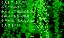 我笑春天也笑