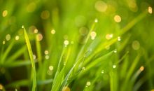 洒在心里的温暖