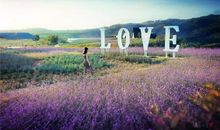 让内在美如夏花般绽放