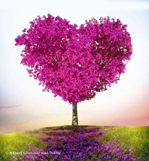 heart