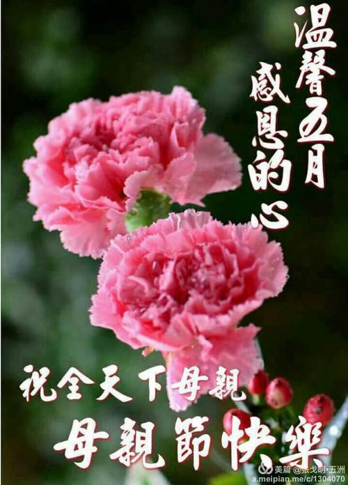 母亲节