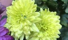 行走在书香世界