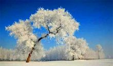 不要让人间至美，退化成几行代码