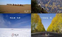 我的共享时代观