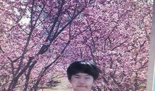 感恩的花开在冬天的路上