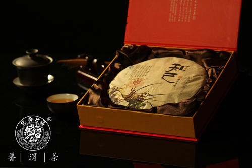 记忆是给予的礼物
