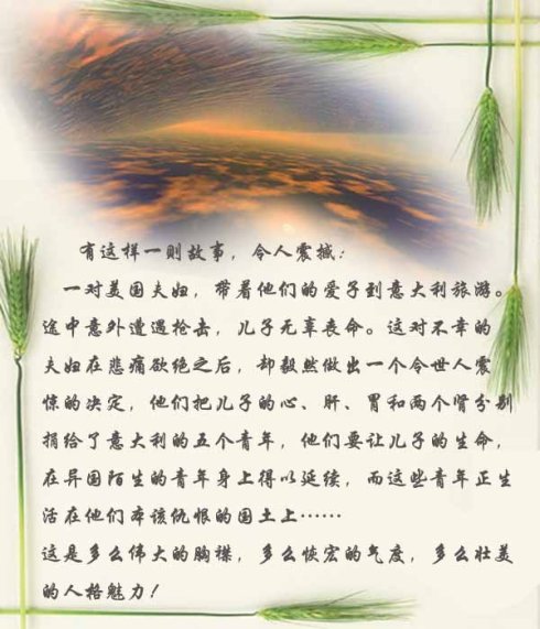 由于宽容,世界更好