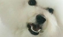 “钱花花”的独白