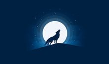 抓住那缕灵感的微光