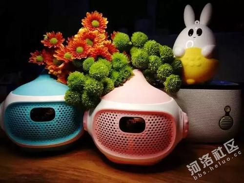 我的一个体育教师
