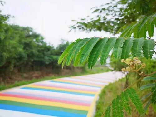 彩虹剪接童年