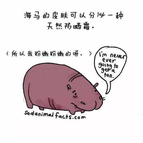 在寒冷的日子里