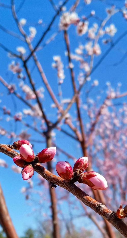 缺少在阳光下流淌