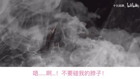 “洗白”