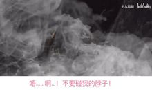 “洗白”那一次