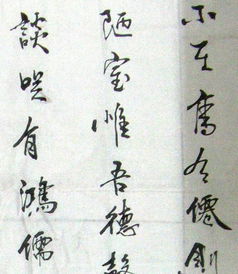 爷爷的书法梦