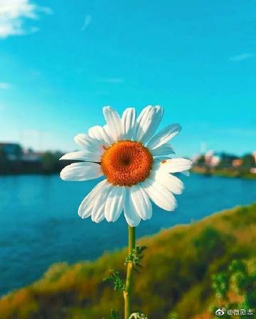 生活就是这个温暖