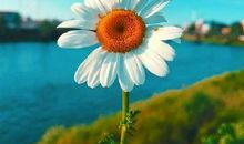 生活就是这样温暖